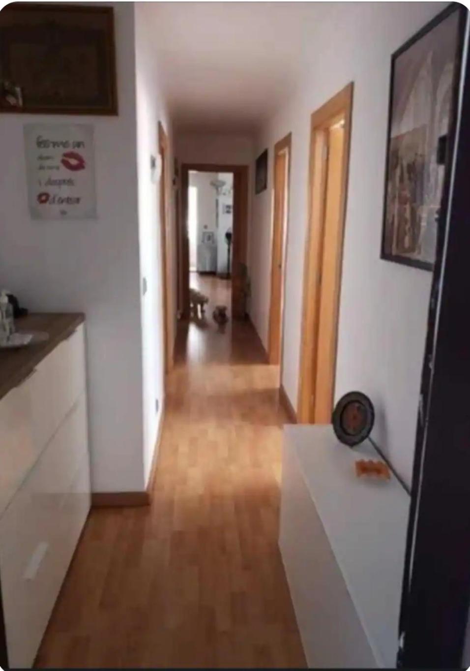 Habitacion Maria Jose Benidorm Exteriör bild
